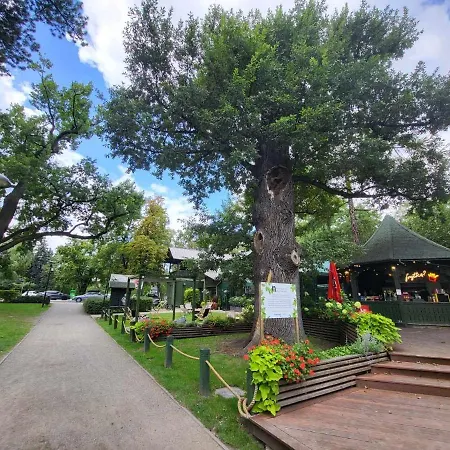 Aquarius Kilinskiego 6 アパート グロジスク・マゾビエツキ